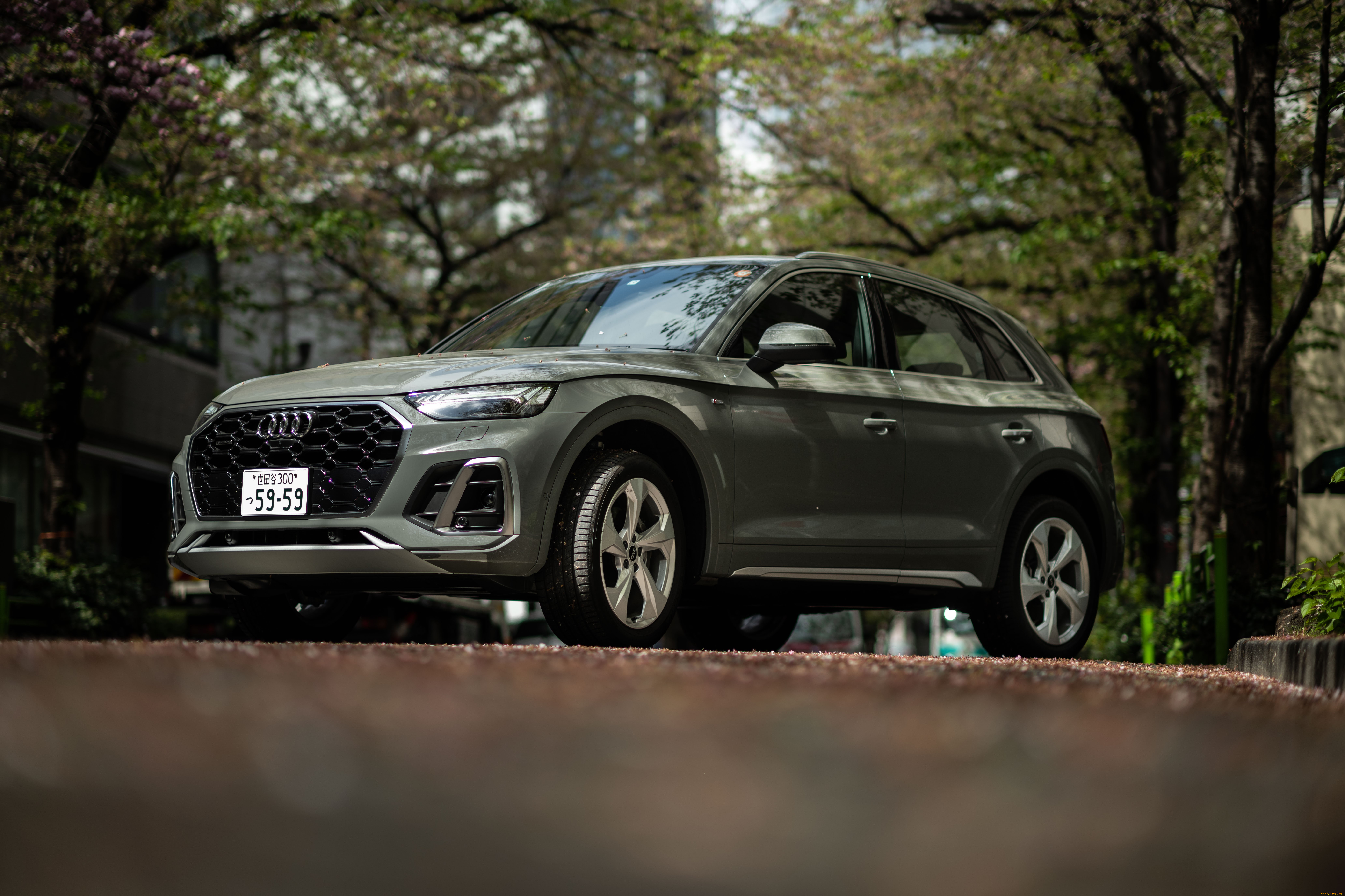 , audi